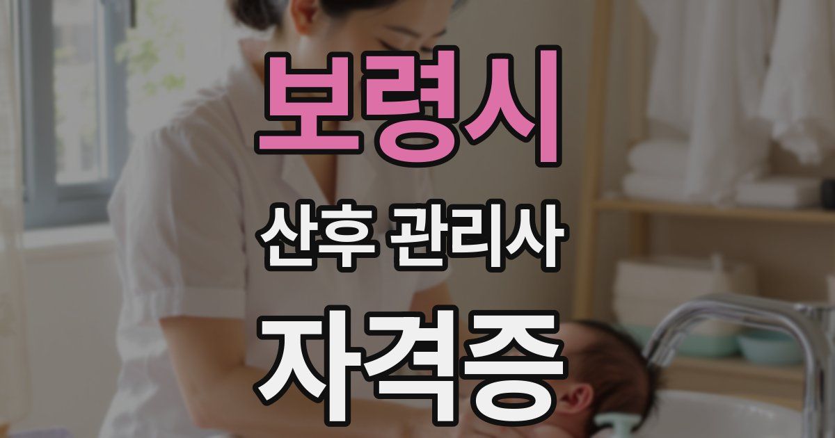 보령시 산후 관리사 자격증