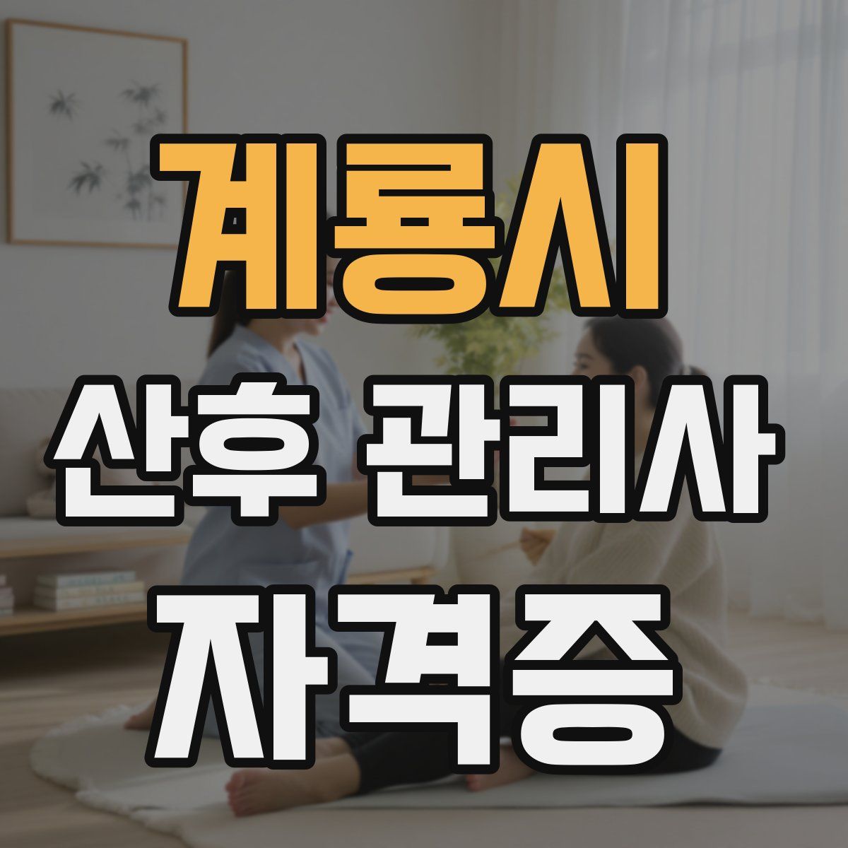 계룡시 산후 관리사 자격증