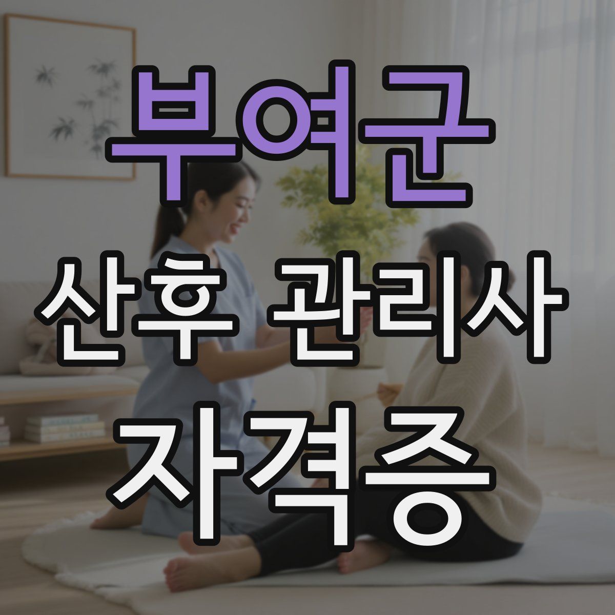 부여군 산후 관리사 자격증