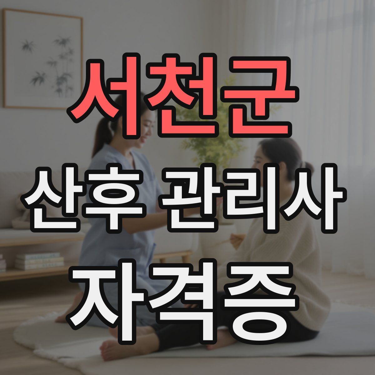 서천군 산후 관리사 자격증