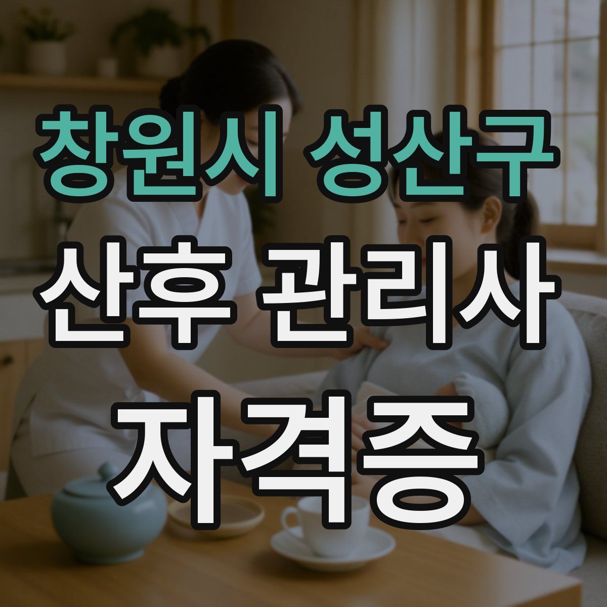 창원시 성산구 산후 관리사 자격증