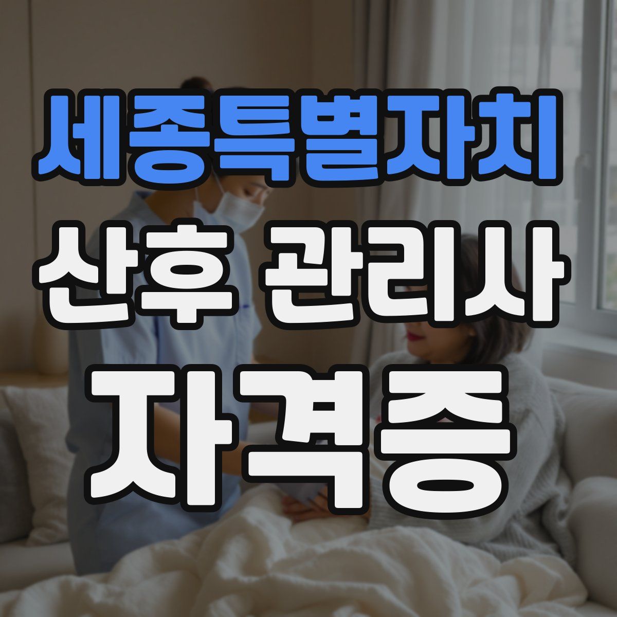 세종특별자치 산후 관리사 자격증