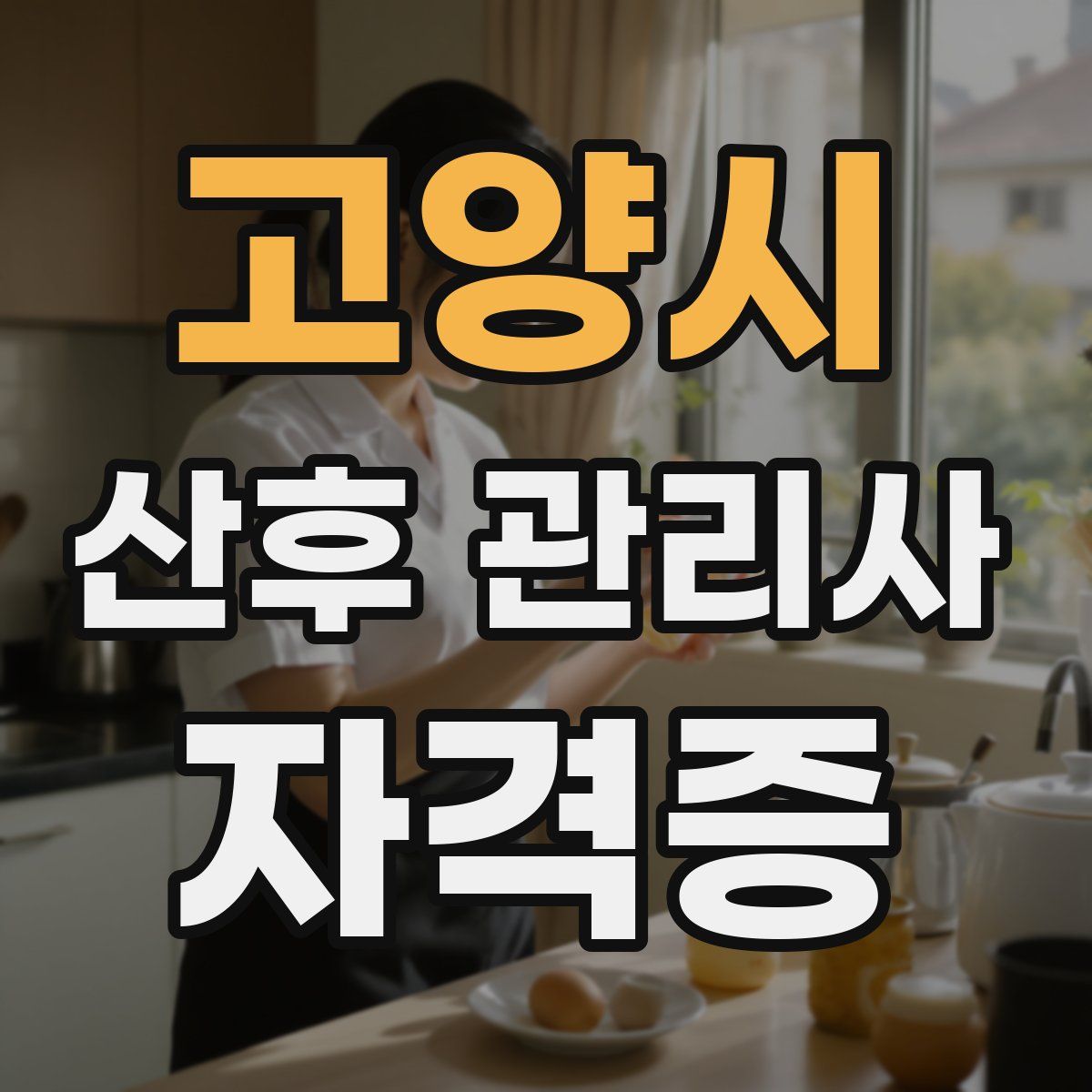 고양시 산후 관리사 자격증
