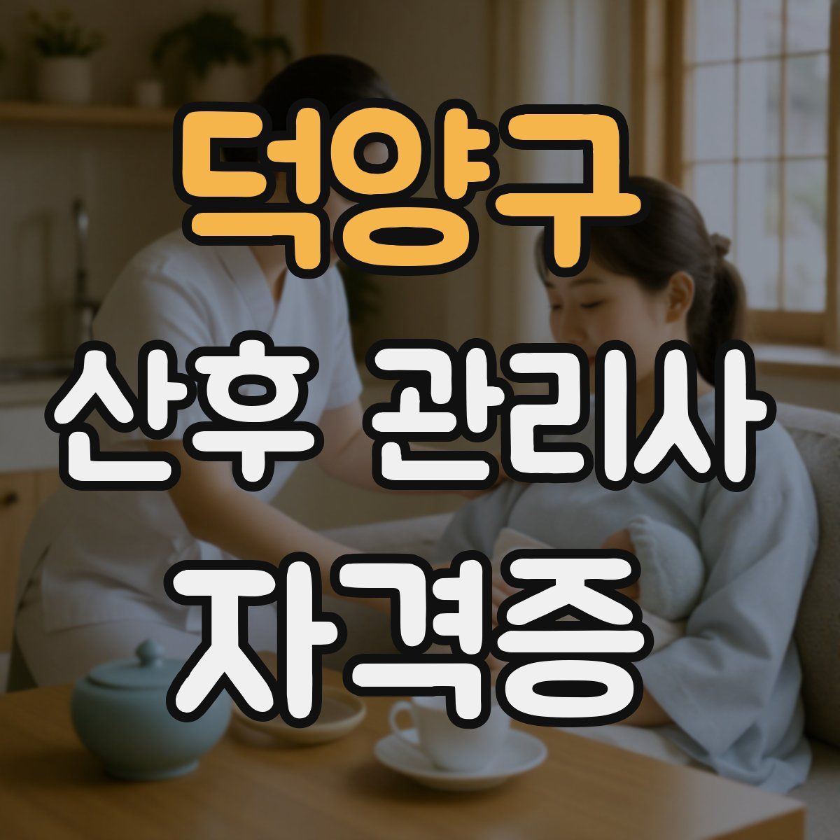 덕양구 산후 관리사 자격증