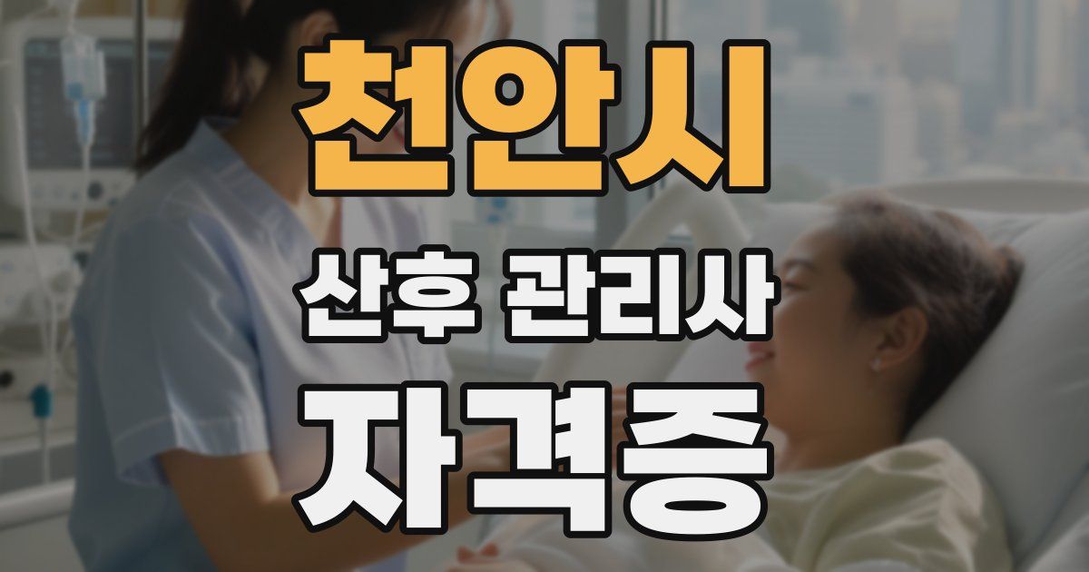 천안시 산후 관리사 자격증