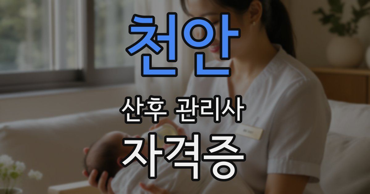 천안 산후 관리사 자격증