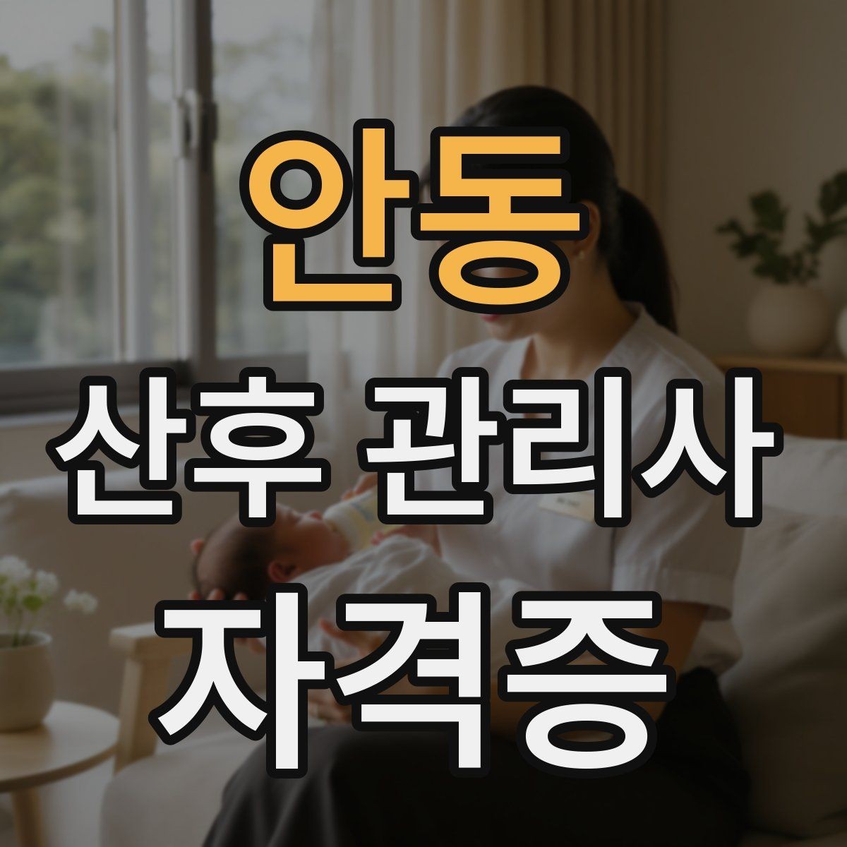 안동 산후 관리사 자격증 의료행위와 케어의 경계를 지키는 법