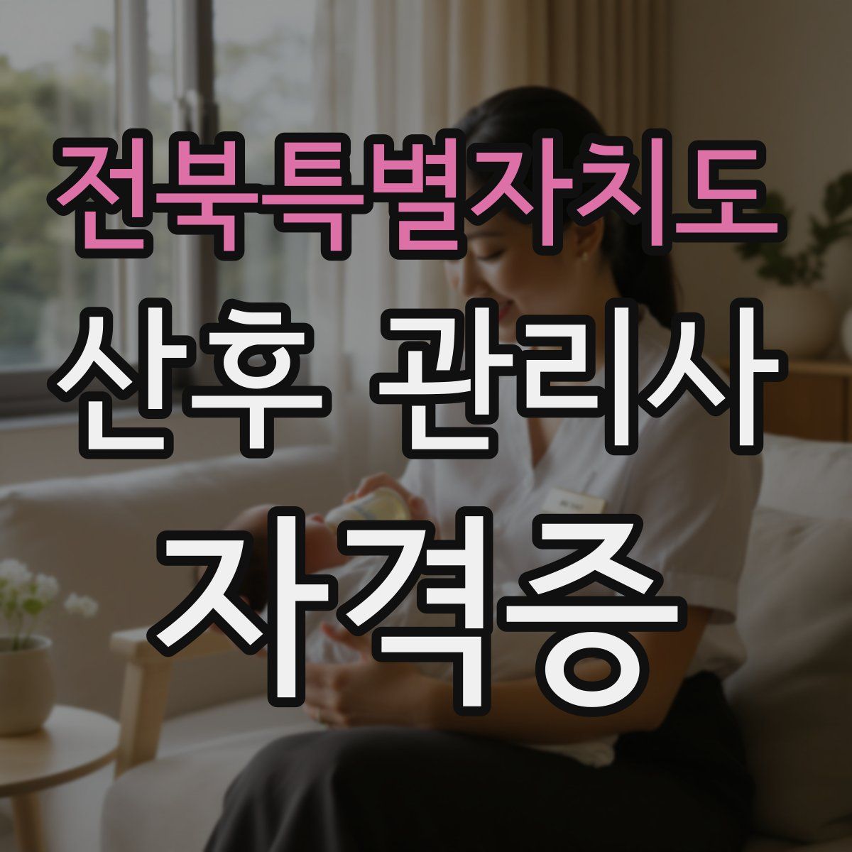 전북특별자치도 산후 관리사 자격증
