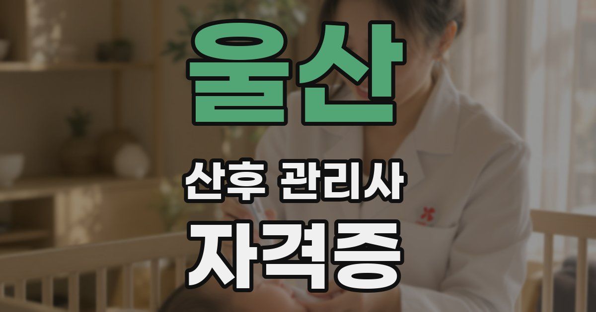 울산 산후 관리사 자격증