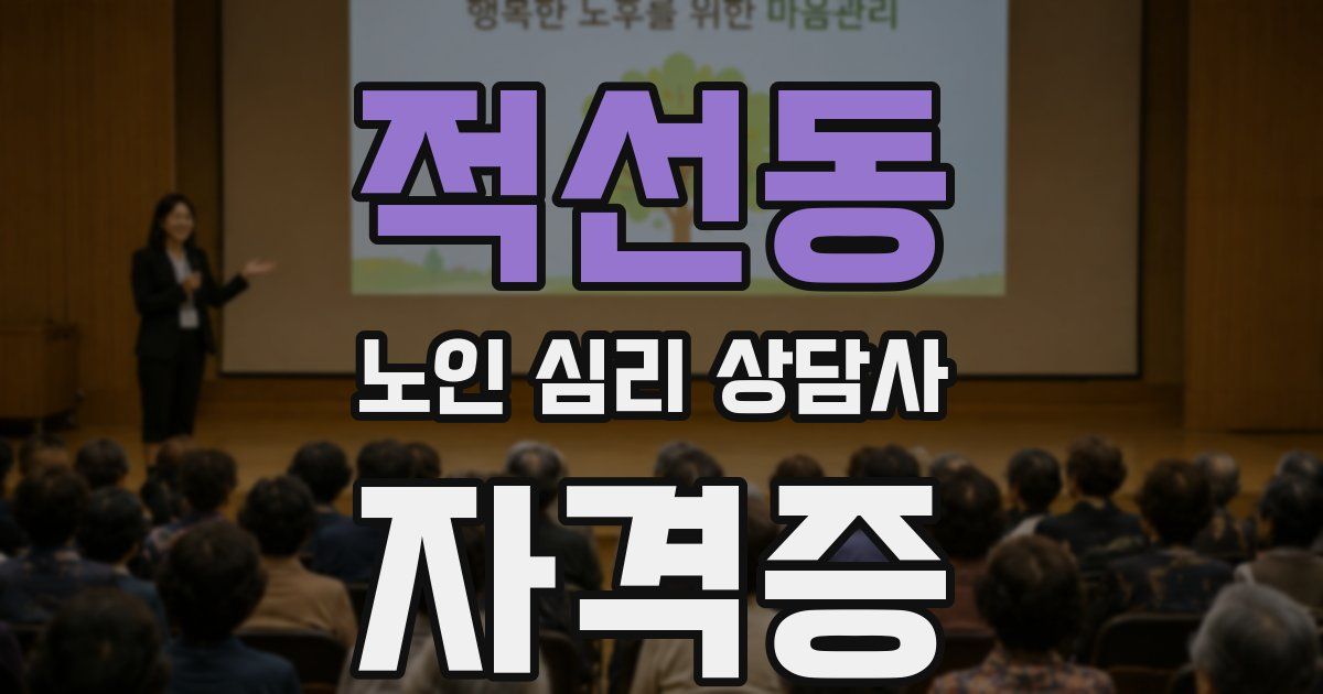 적선동 노인 심리 상담사 자격증