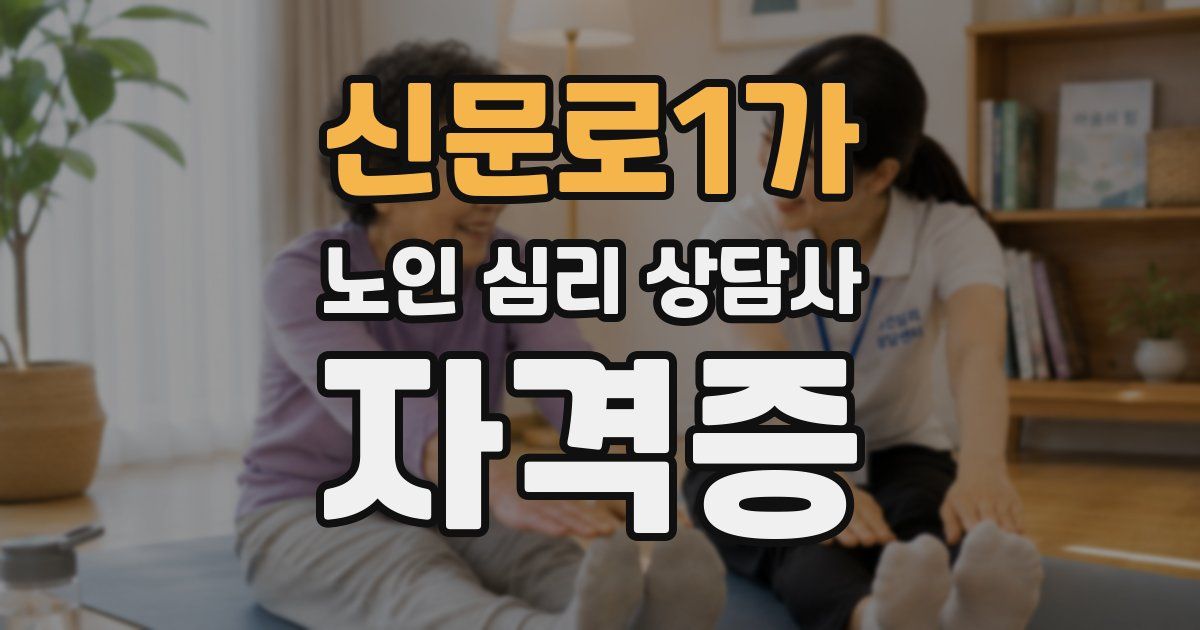 신문로1가 노인 심리 상담사 자격증