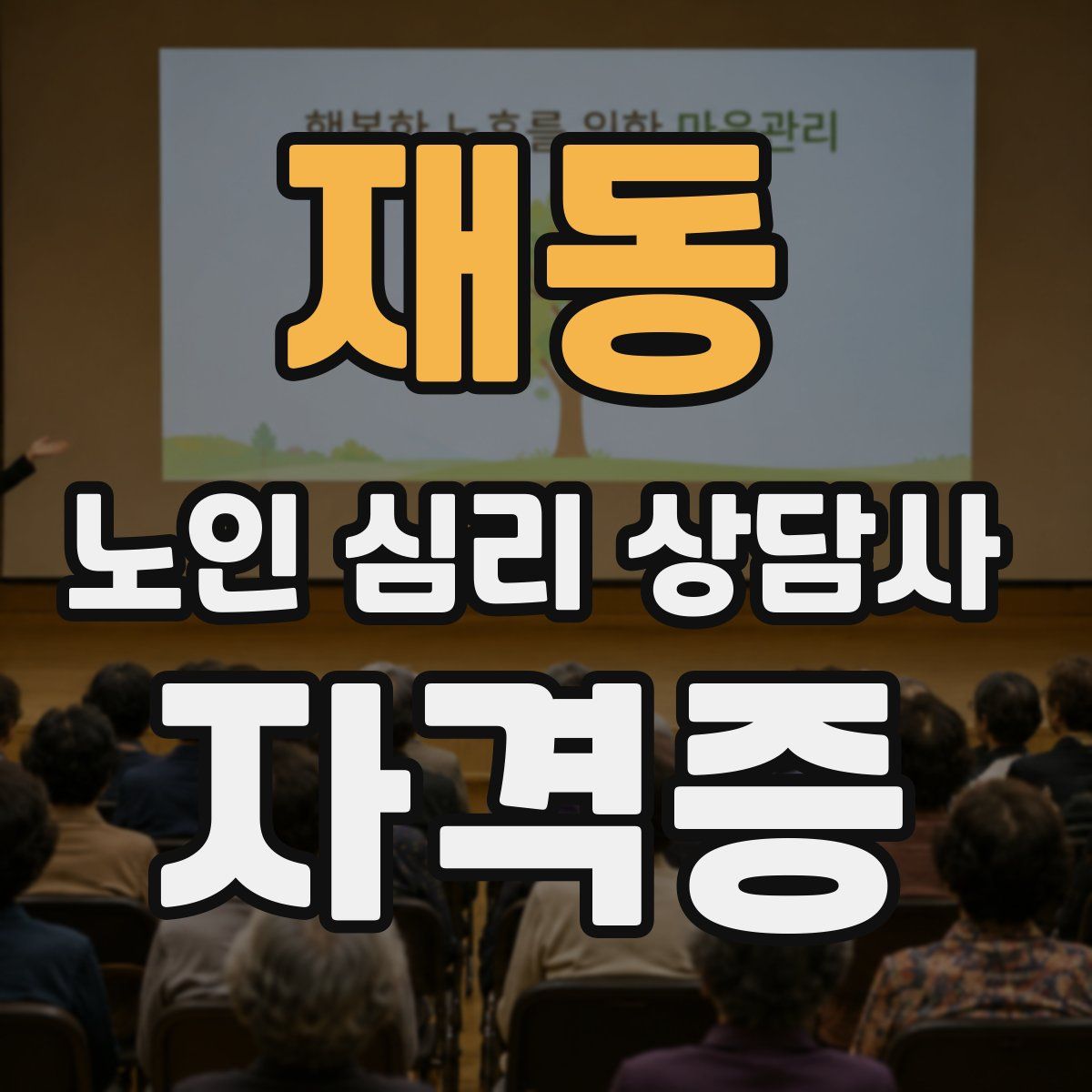 재동 노인 심리 상담사 자격증