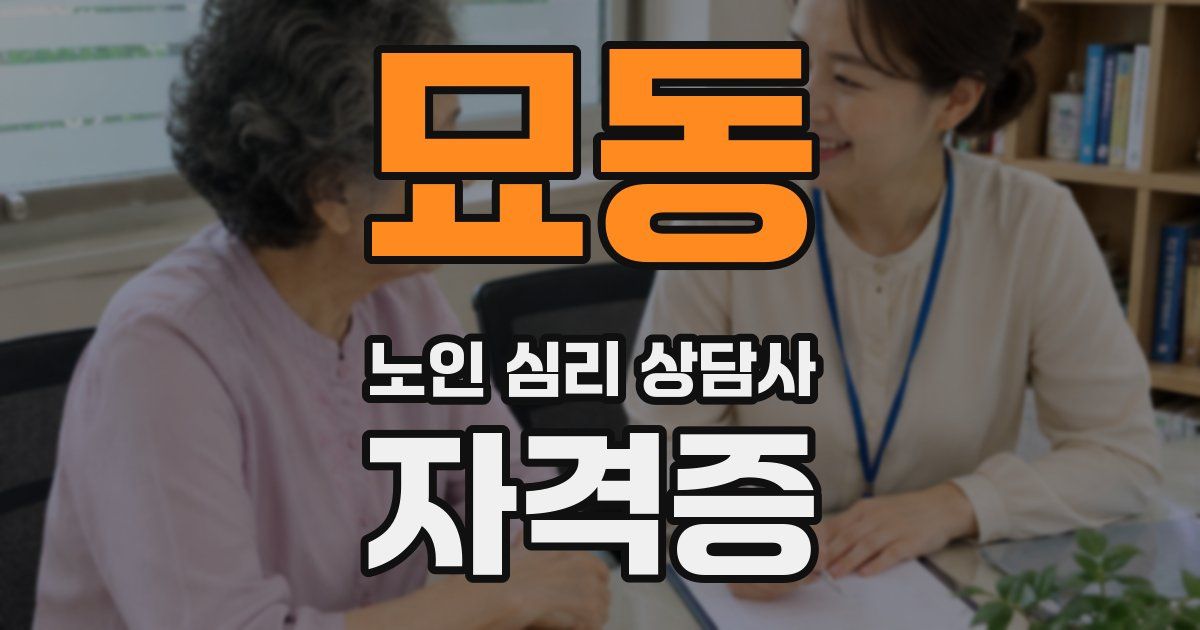 묘동 노인 심리 상담사 자격증