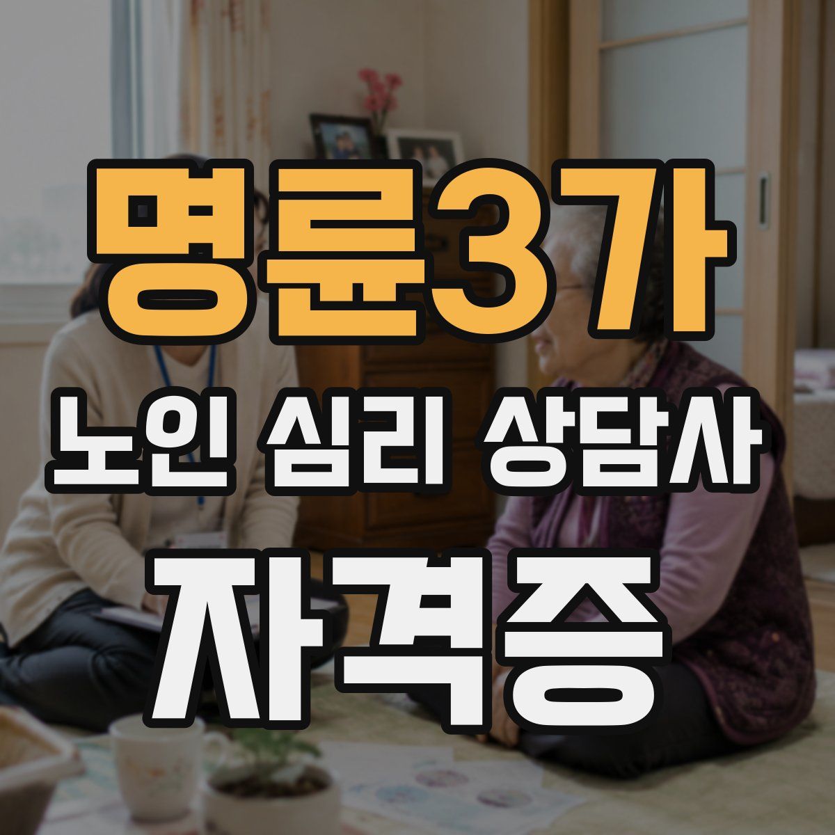 명륜3가 노인 심리 상담사 자격증