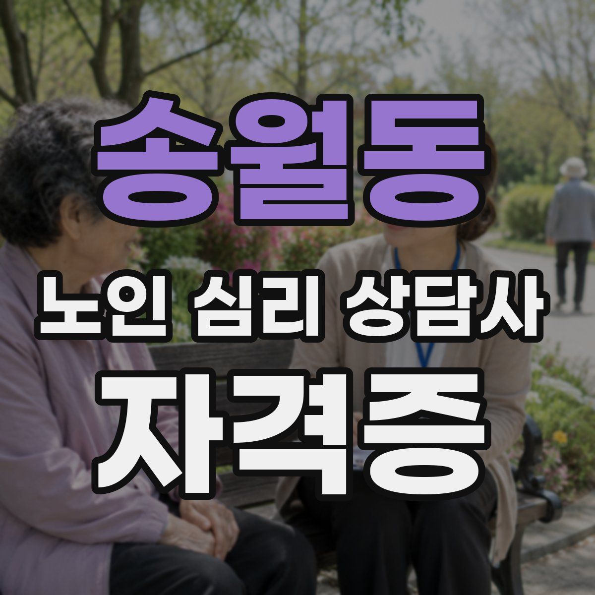 송월동 노인 심리 상담사 자격증