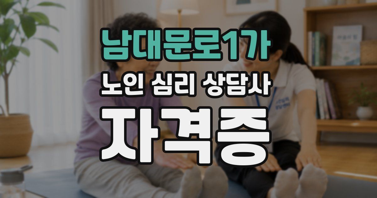 남대문로1가 노인 심리 상담사 자격증