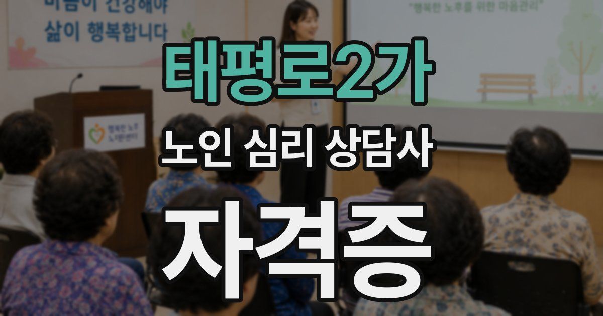 태평로2가 노인 심리 상담사 자격증