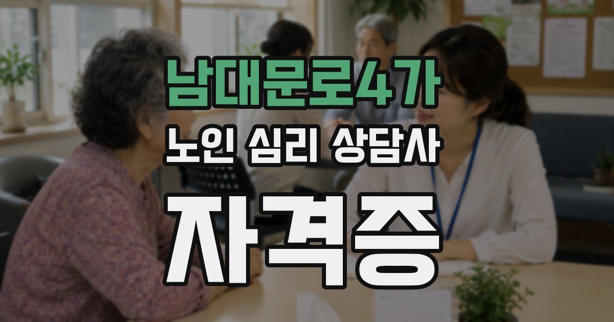 남대문로4가 노인 심리 상담사 자격증