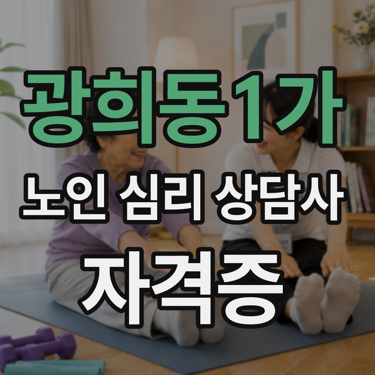 광희동1가 노인 심리 상담사 자격증