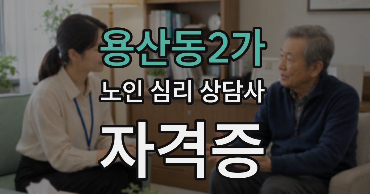용산동2가 노인 심리 상담사 자격증