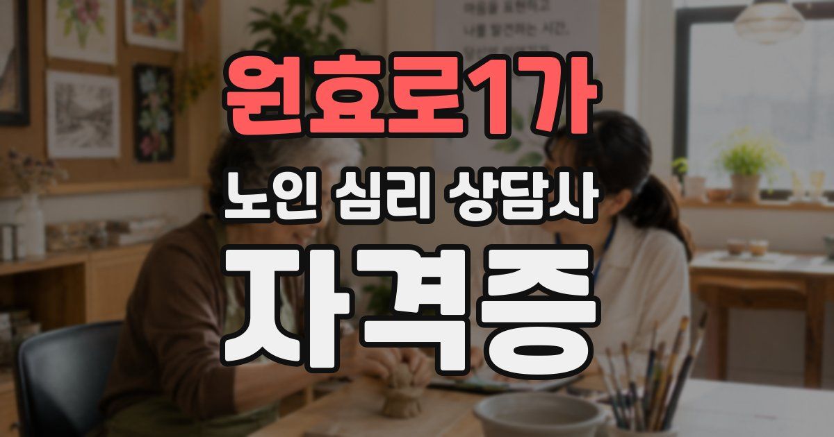 원효로1가 노인 심리 상담사 자격증