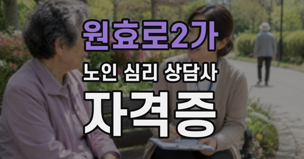 원효로2가 노인 심리 상담사 자격증