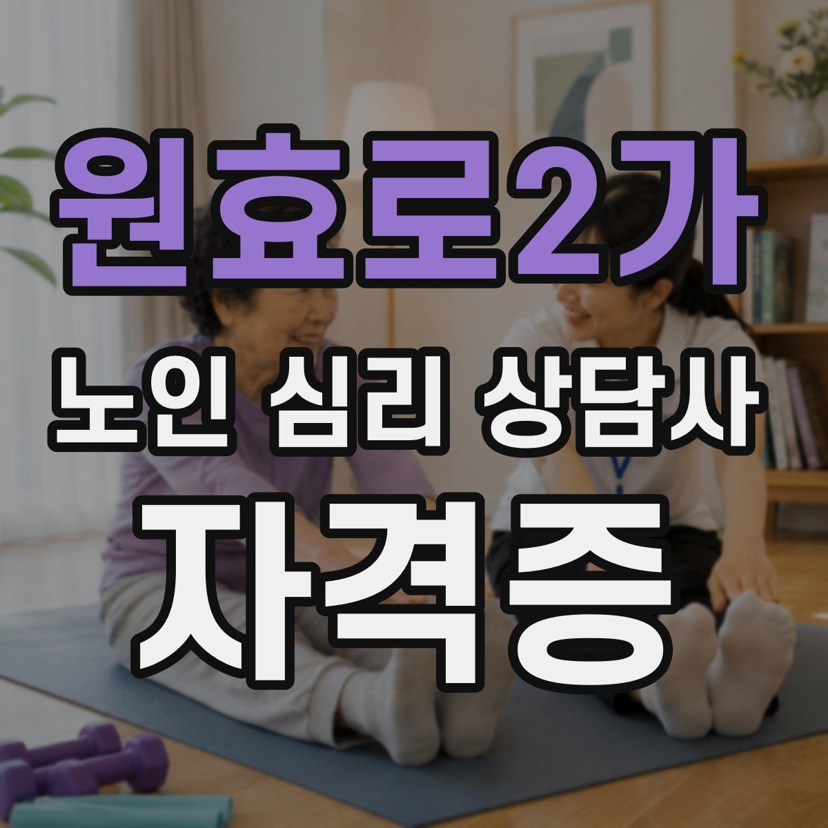 원효로2가 노인 심리 상담사 자격증