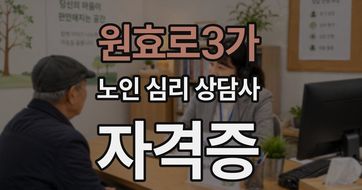 원효로3가 노인 심리 상담사 자격증