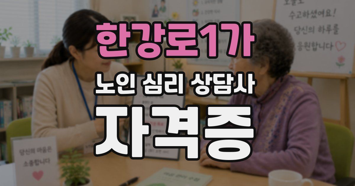 한강로1가 노인 심리 상담사 자격증