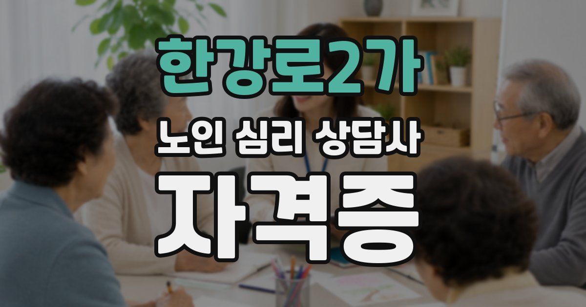 한강로2가 노인 심리 상담사 자격증