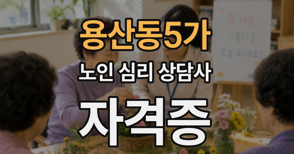 용산동5가 노인 심리 상담사 자격증
