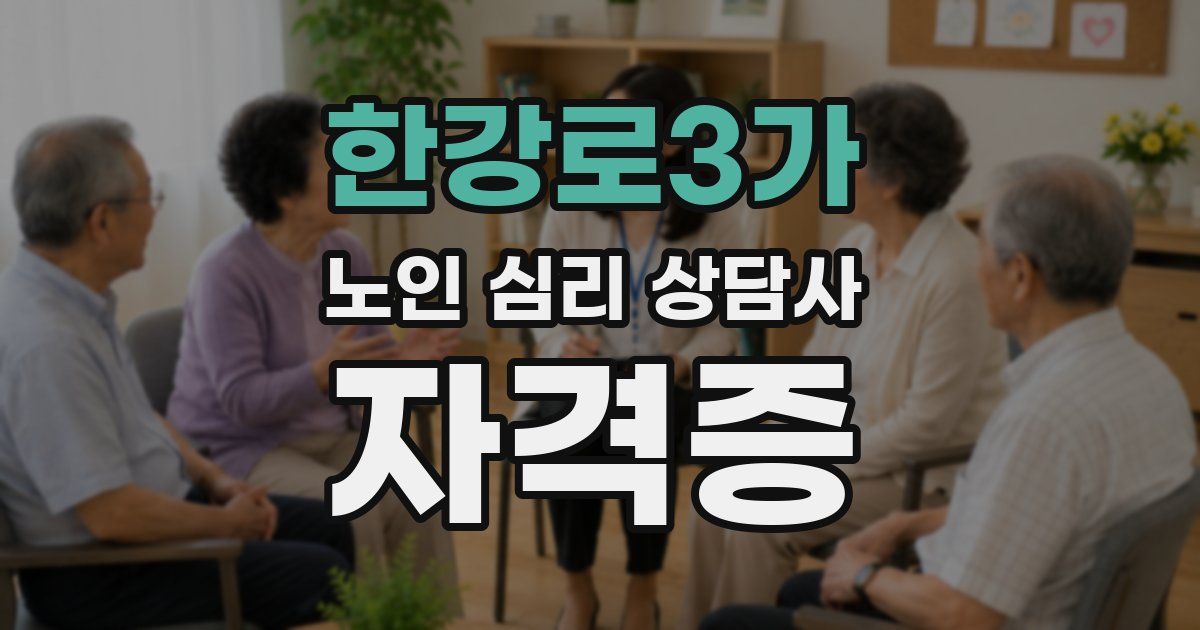 한강로3가 노인 심리 상담사 자격증