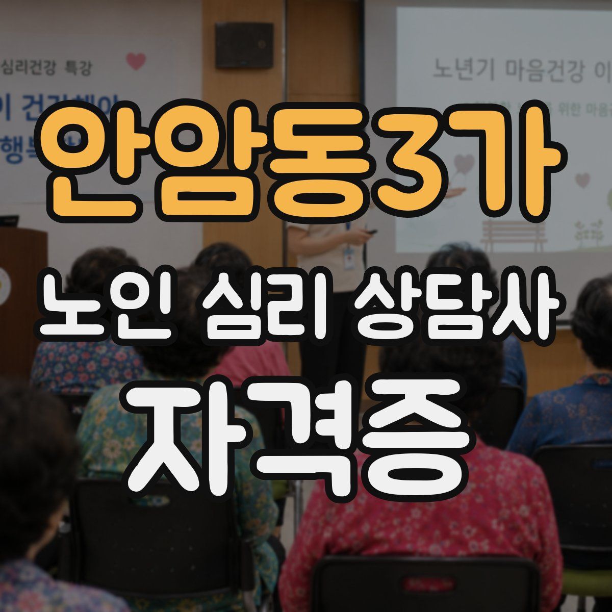 안암동3가 노인 심리 상담사 자격증