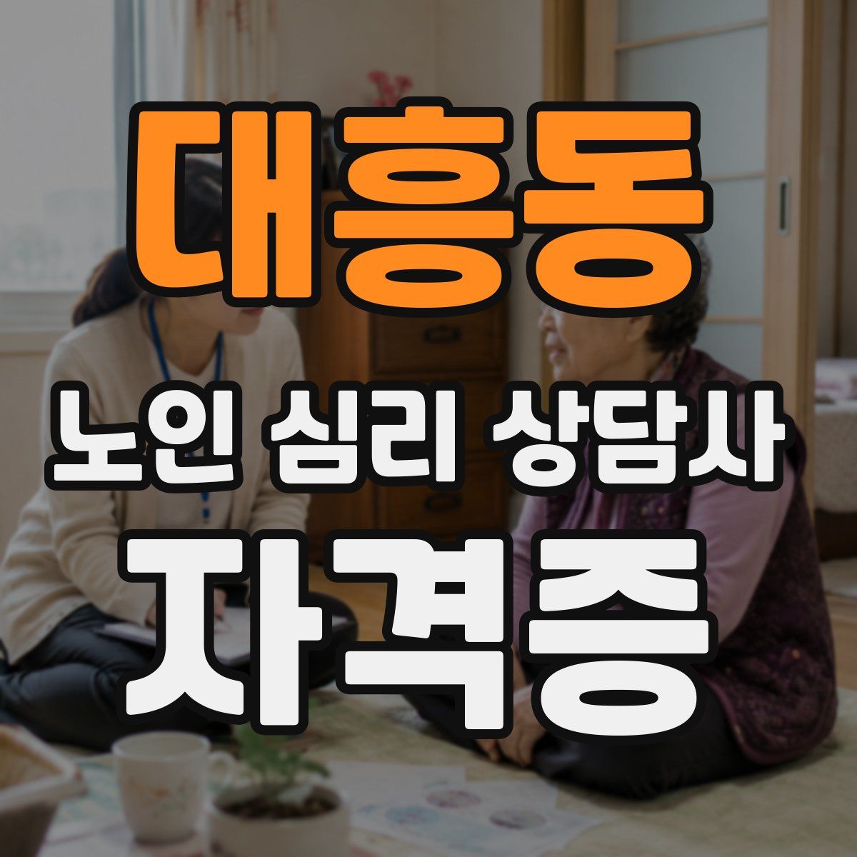 대흥동 노인 심리 상담사 자격증