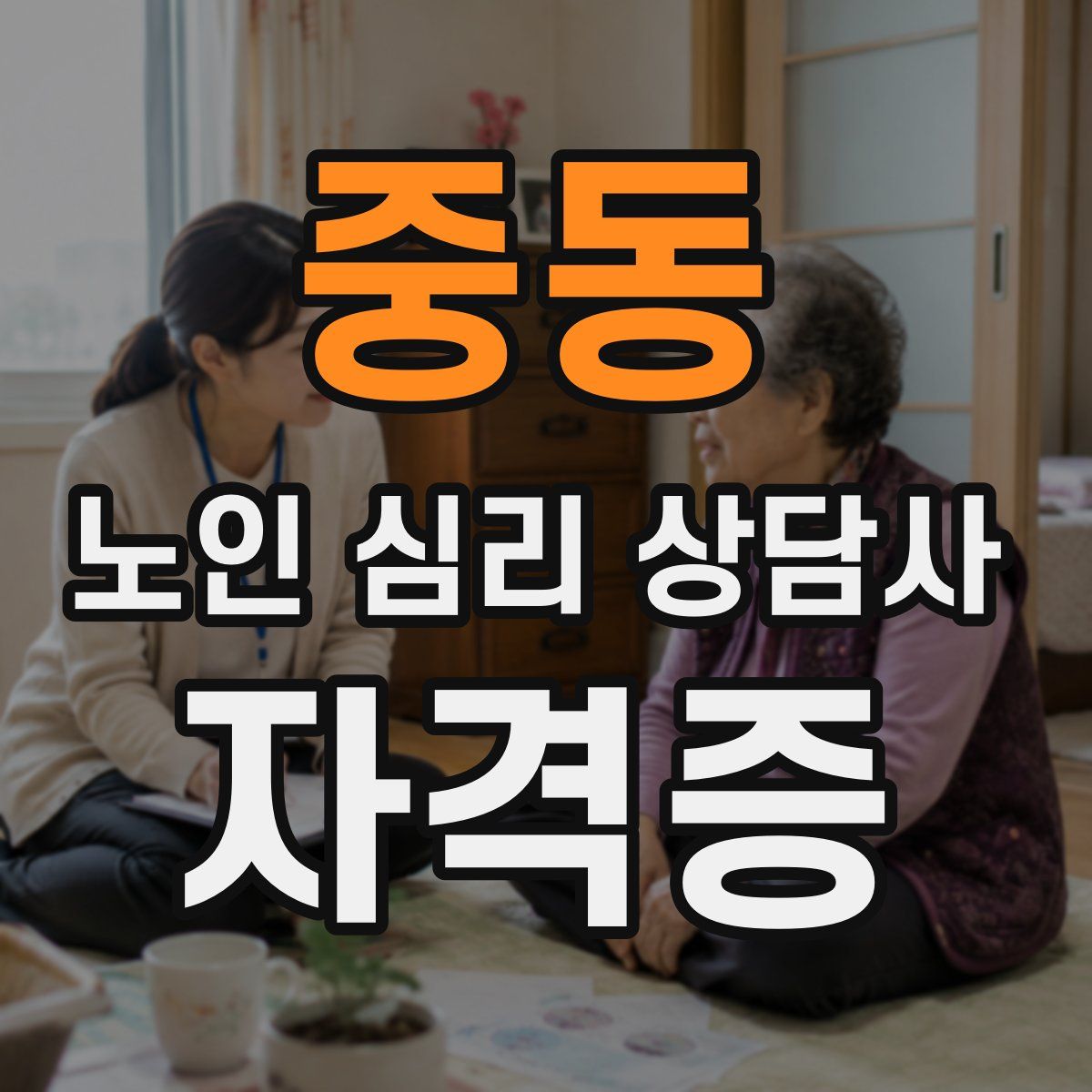 중동 노인 심리 상담사 자격증
