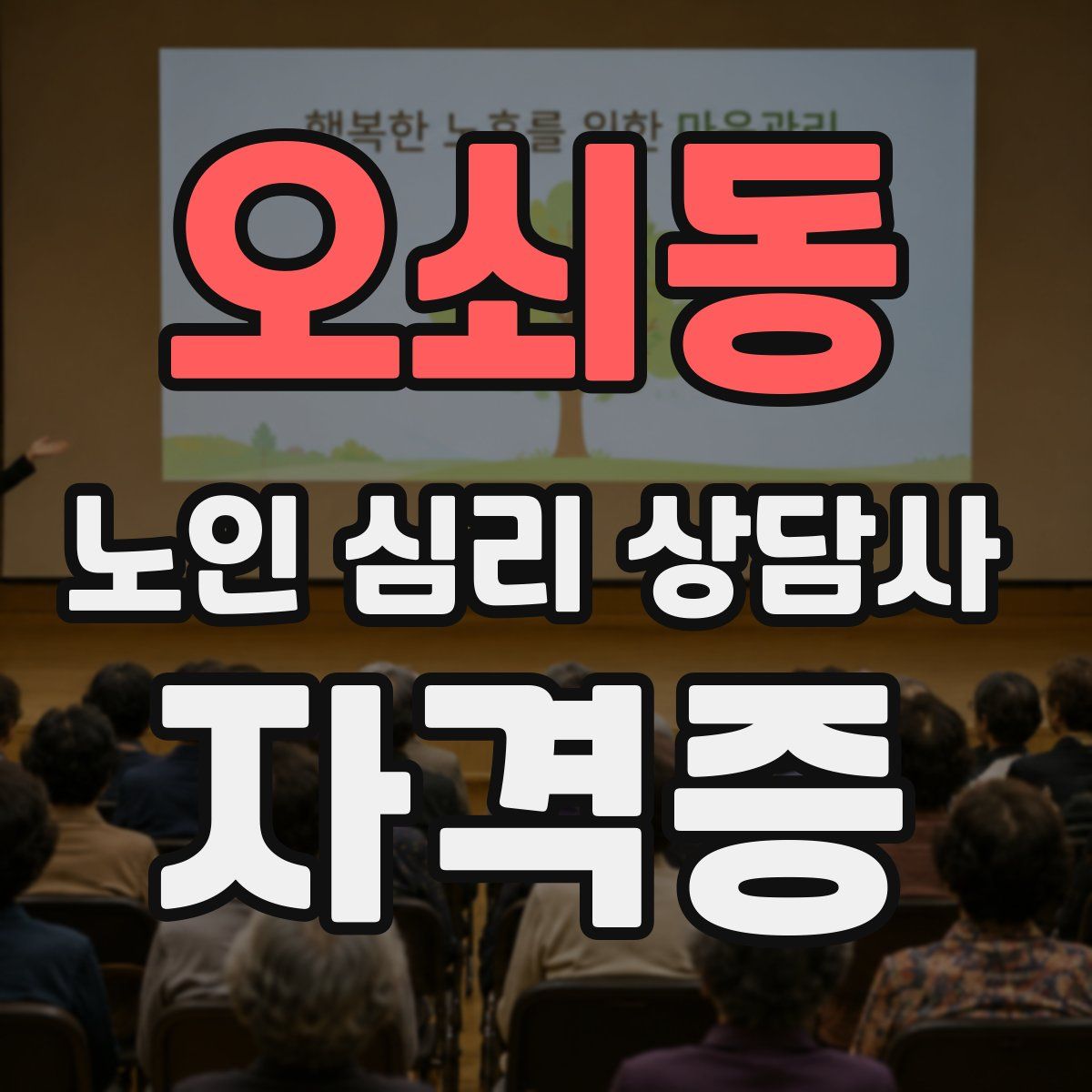 오쇠동 노인 심리 상담사 자격증