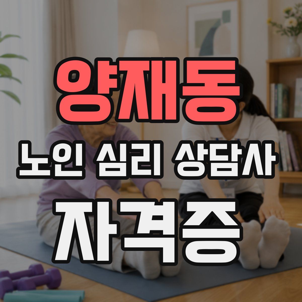 양재동 노인 심리 상담사 자격증