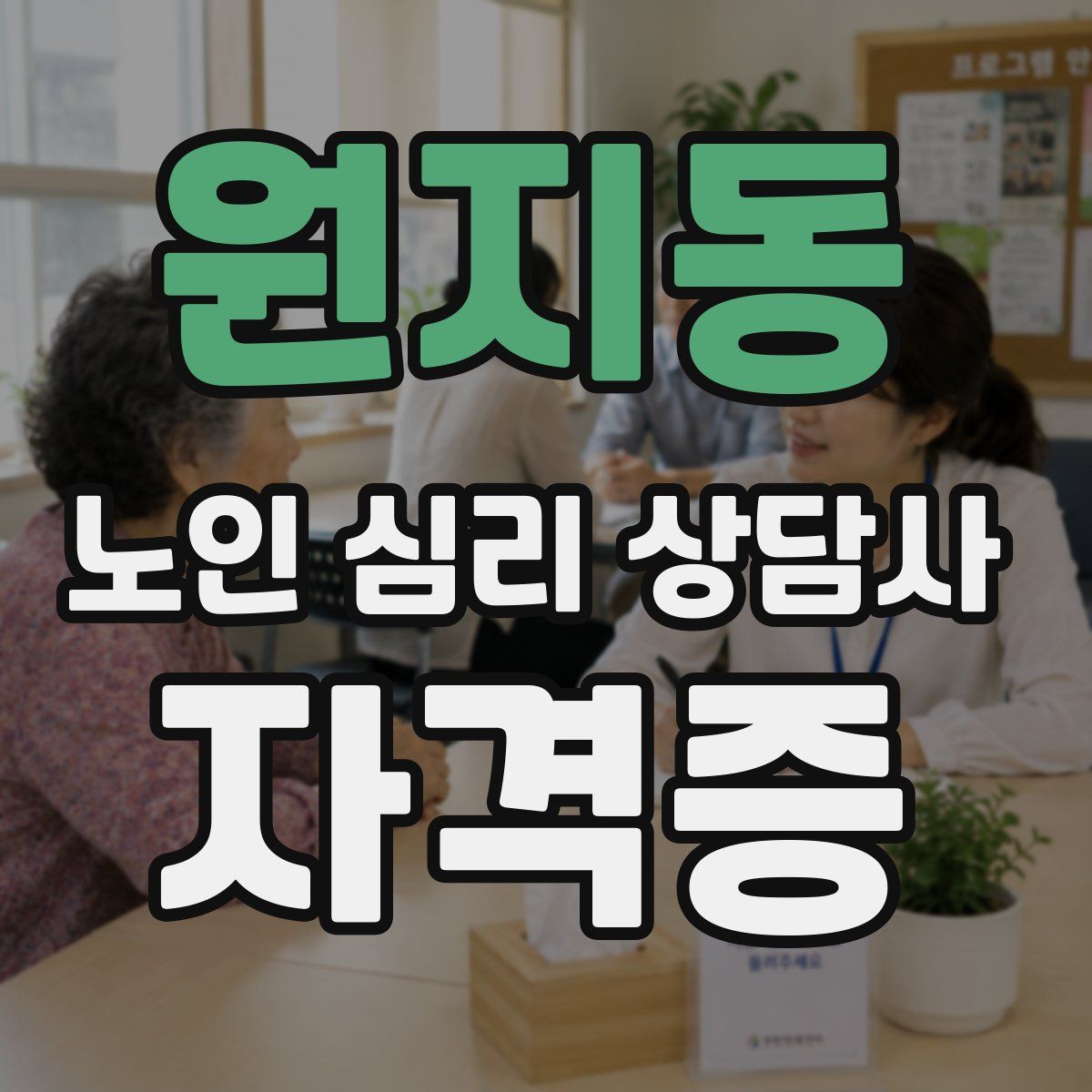 원지동 노인 심리 상담사 자격증
