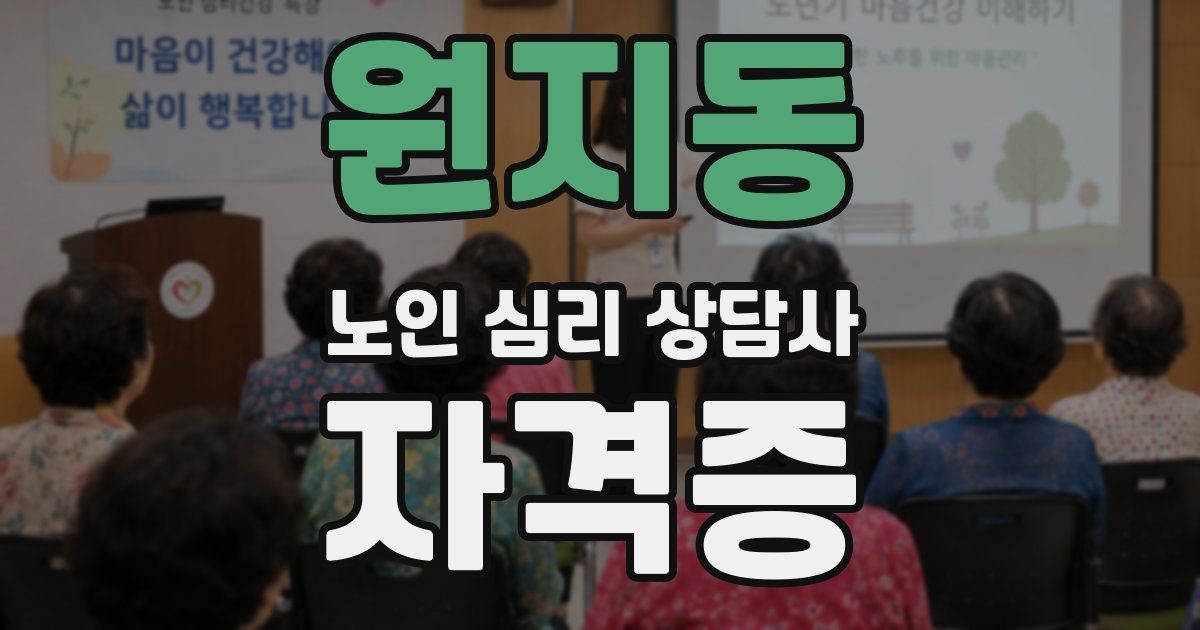 원지동 노인 심리 상담사 자격증