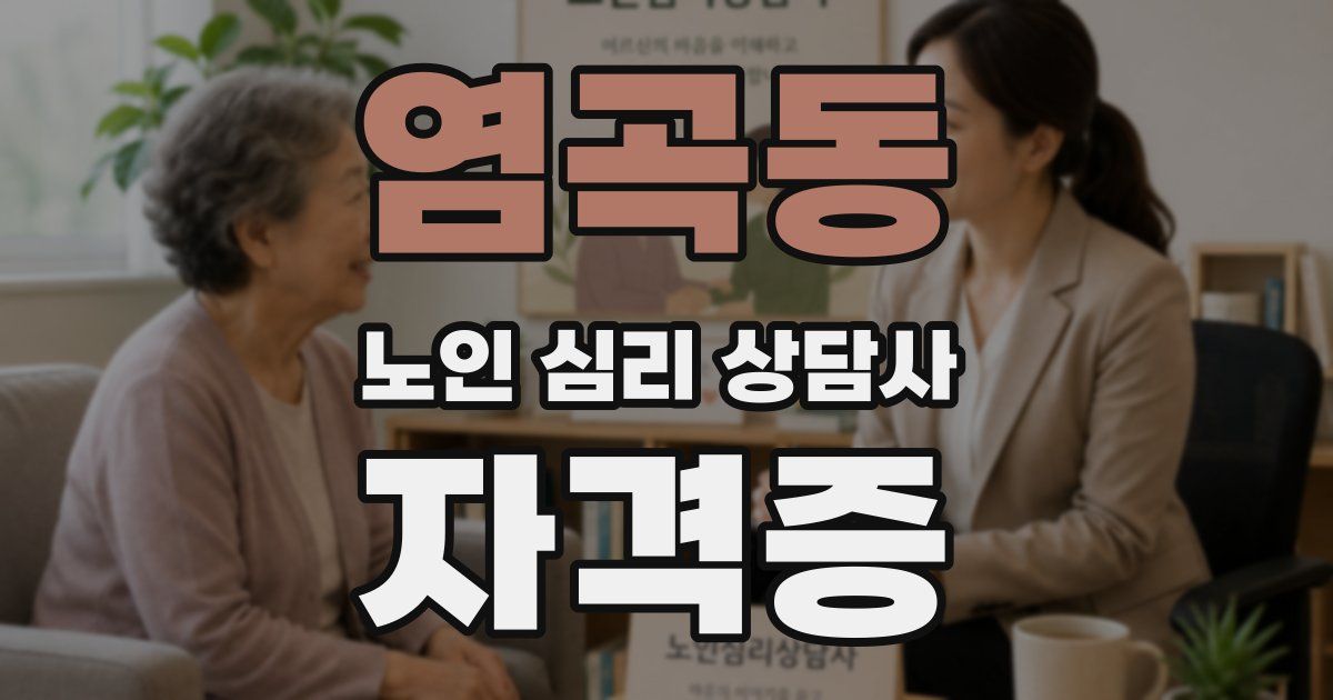 염곡동 노인 심리 상담사 자격증