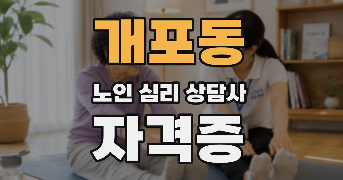 개포동 노인 심리 상담사 자격증