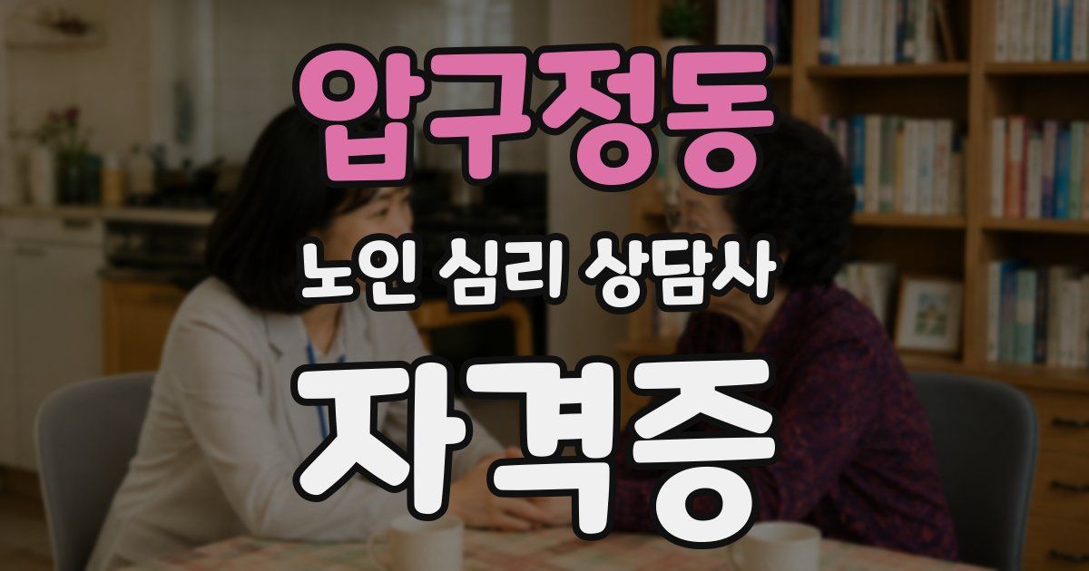 압구정동 노인 심리 상담사 자격증