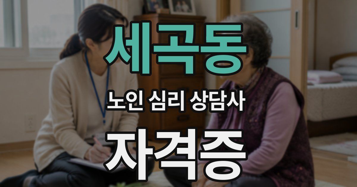 세곡동 노인 심리 상담사 자격증