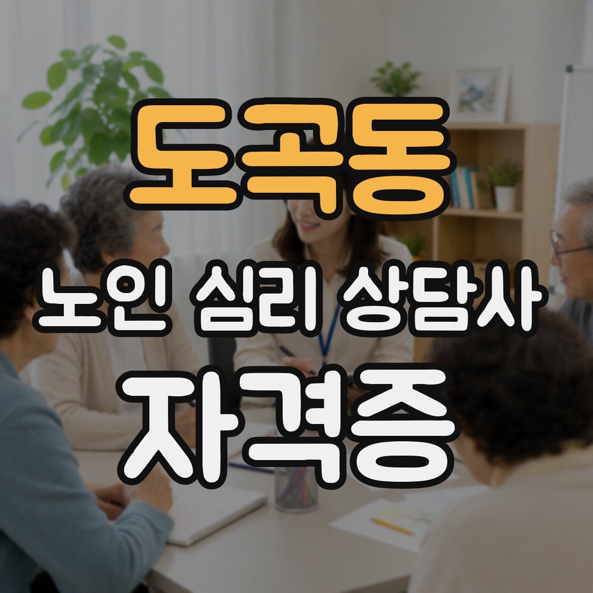 도곡동 노인 심리 상담사 자격증