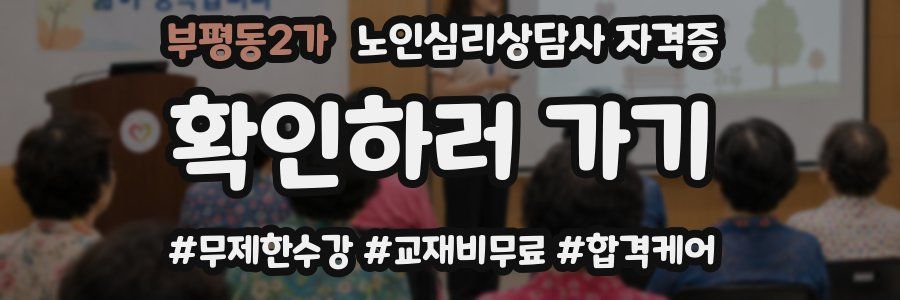 부평동2가 노인 심리 상담사 자격증