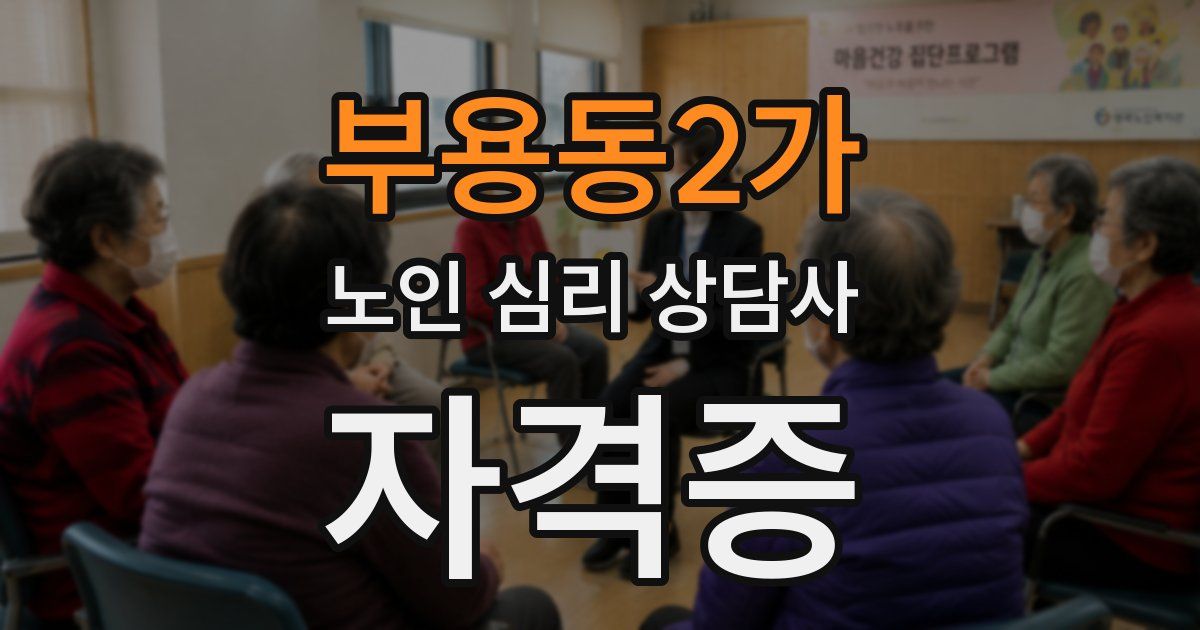 부용동2가 노인 심리 상담사 자격증