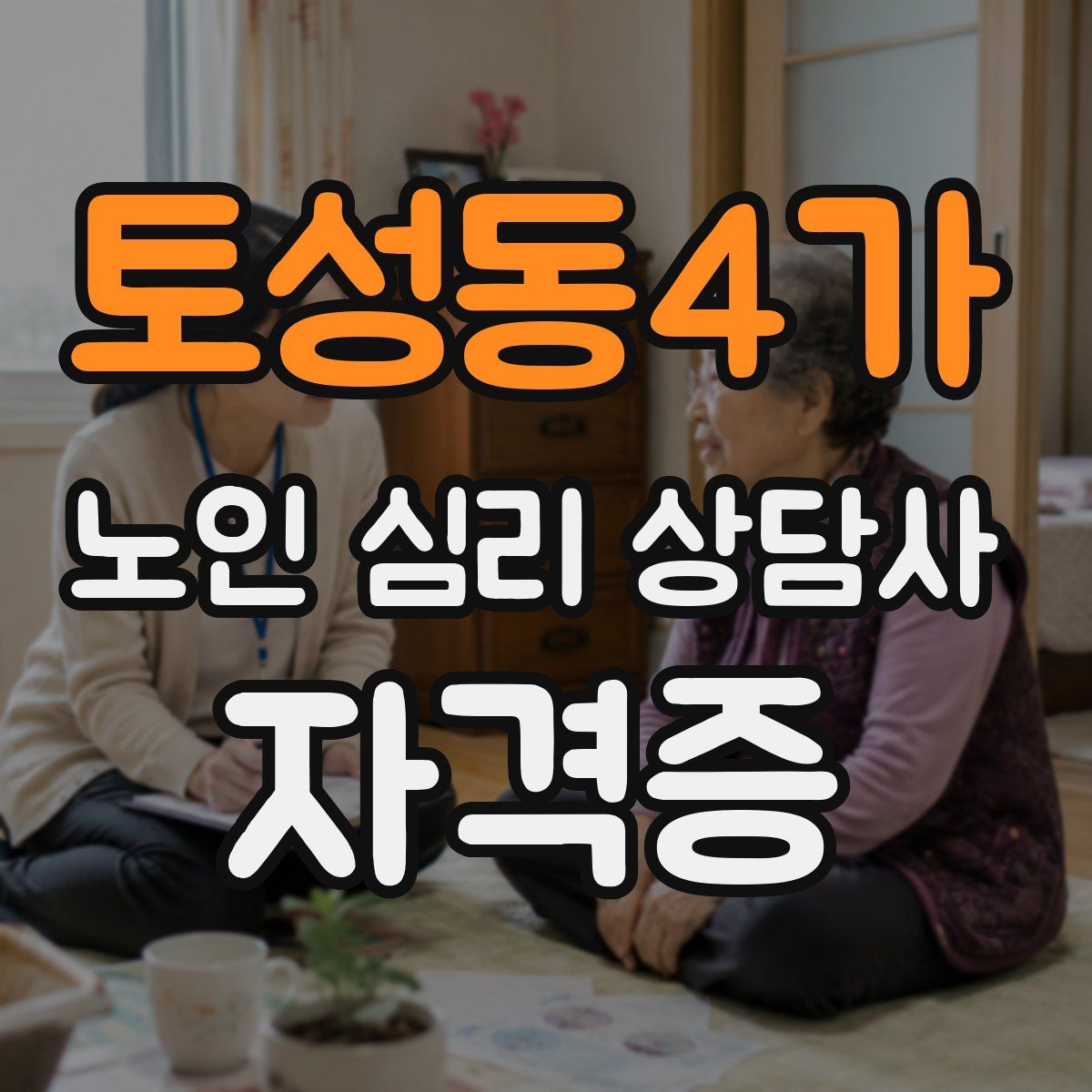 토성동4가 노인 심리 상담사 자격증