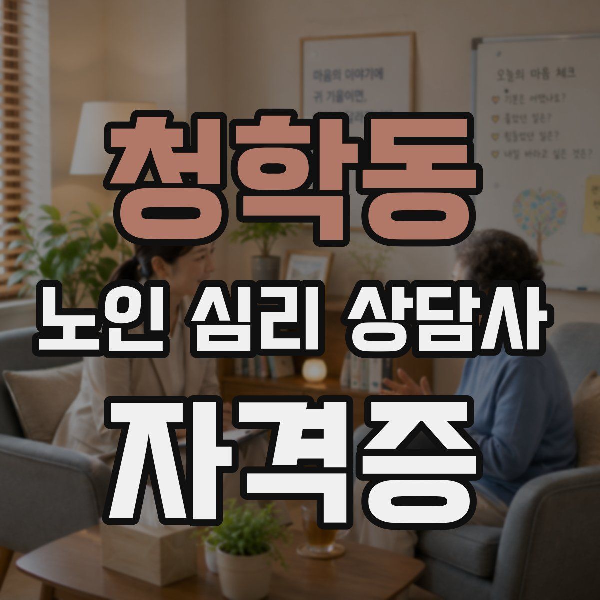 청학동 노인 심리 상담사 자격증
