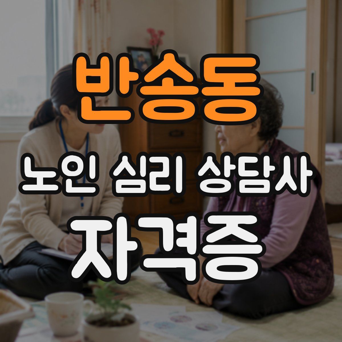 반송동 노인 심리 상담사 자격증