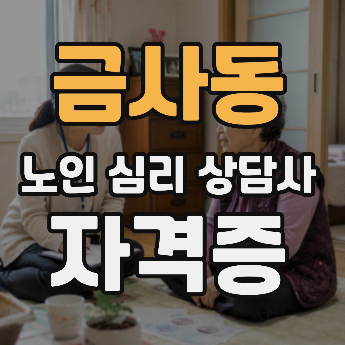 금사동 노인 심리 상담사 자격증